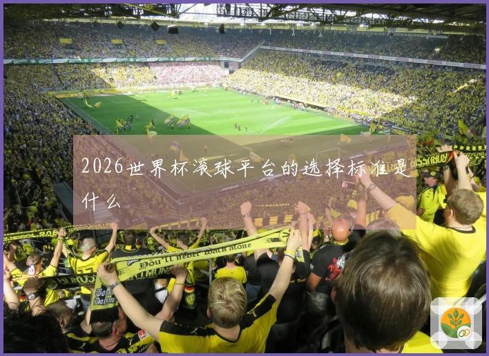 2026世界杯滚球平台的选择标准是什么