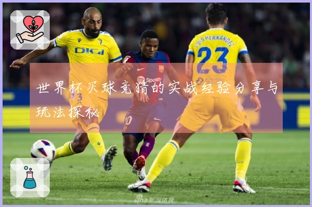 世界杯买球竞猜的实战经验分享与玩法探秘