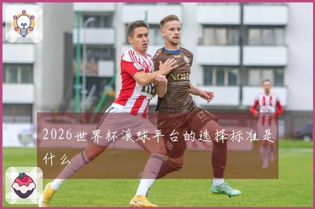 2026世界杯滚球平台的选择标准是什么