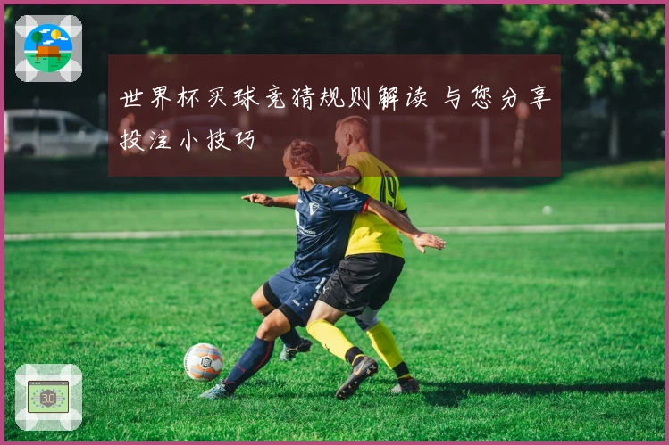 世界杯买球竞猜规则解读 与您分享投注小技巧