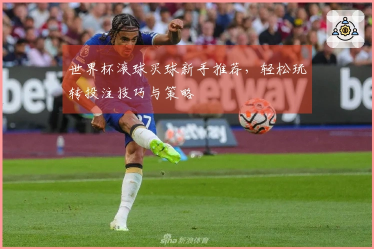 世界杯滚球买球新手推荐，轻松玩转投注技巧与策略