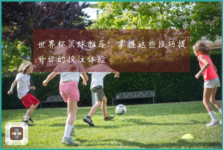 世界杯买球推荐：掌握这些技巧提升你的投注体验